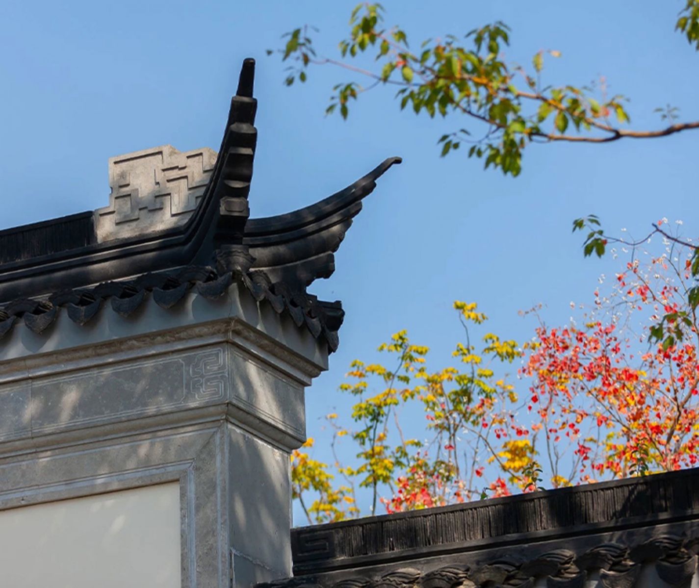 28圈(中国)官方网站